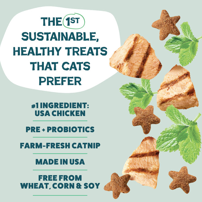 2-Pack Catnip N Chill Crunchy Cat Treats - Chicken Made in USA