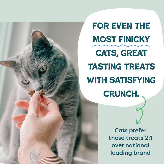 2-Pack Catnip N Chill Crunchy Cat Treats - Chicken Made in USA
