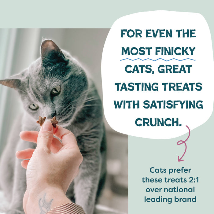 2-Pack Cran U Say Chicken Crunchy Cat Treats Made in USA
