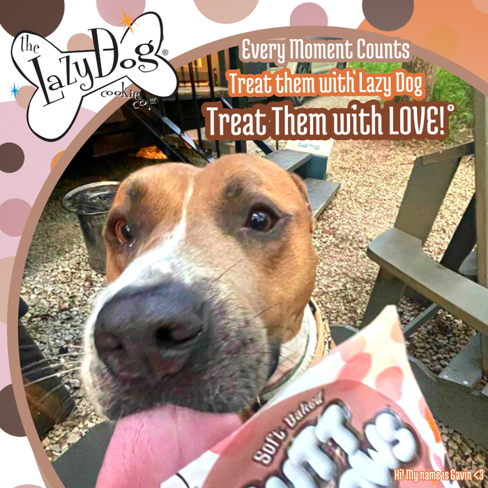 2-Pack of Dog Treats Sweetie S'mores Mutt Mallow by The Lazy Dogs