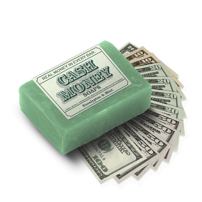 2-Pack of Eucalyptus and Mint Cash Money Soaps Made in USA