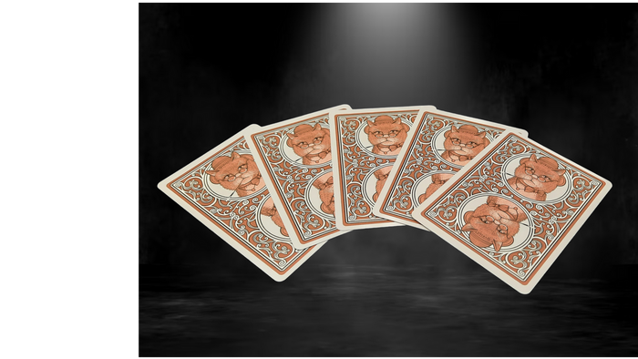 Collectable Bicycle Poker Cats V2 Playing Cards Made in USA