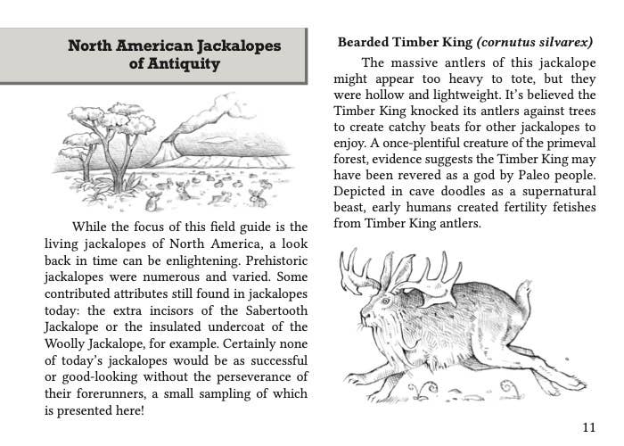 Field Guide to the North American Jackalope Expanded Edition, Made in USA