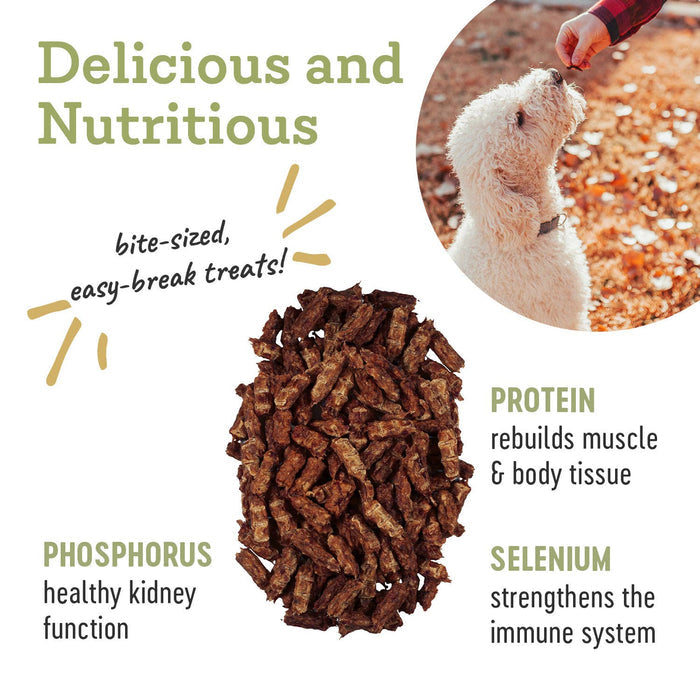New: Beef Trainer - All-Natural Dog Treats - 4.5oz Made in USA