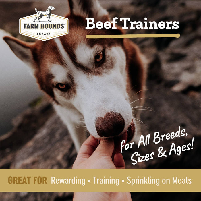 New: Beef Trainer - All-Natural Dog Treats - 4.5oz Made in USA