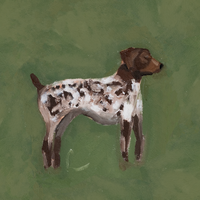 Pointer PRINT