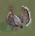 Turkey PRINT
