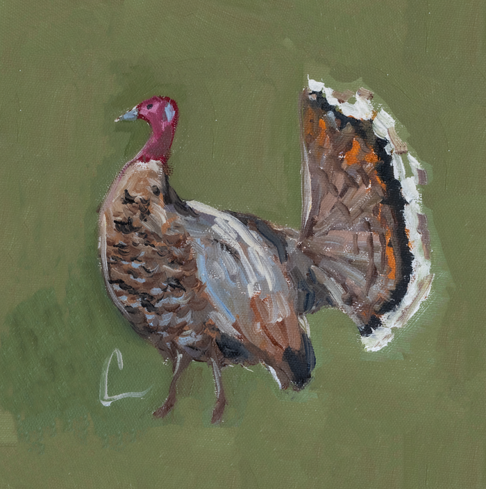 Turkey PRINT