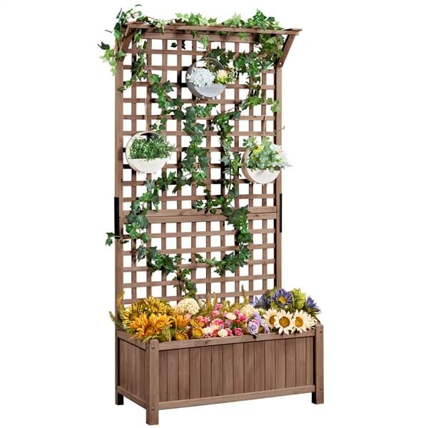 raised beds